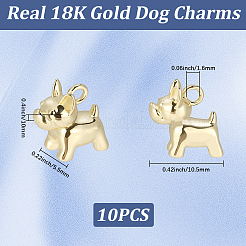 10 Stück Messing Charms&nbsp;KK-BBC0024-48