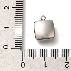 Anhänger aus 304 Edelstahl&nbsp;STAS-P371-069P-01