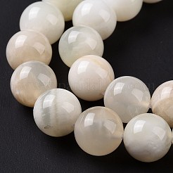Bianco naturale perline pietra di luna fili&nbsp;G-F674-08-10mm-01