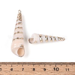 Galvanische natürliche Spiralschalenanhänger&nbsp;SSHEL-T018-07