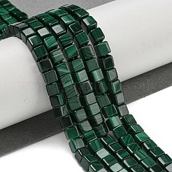 Natürliche Malachlit Perlen Stränge&nbsp;G-Q185-A02-01