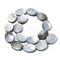 Natur schwarz Lippe Shell Perlen Stränge&nbsp;BSHE-D300-02-18x25mm