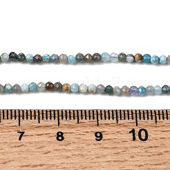 Cuentas naturales de apatita hebras&nbsp;G-K366-C05-2mm