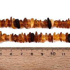 Perles d'ambre naturel brins&nbsp;G-N371-22A-01