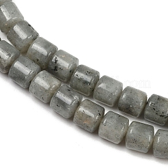 Natur Labradorit Perlen Stränge&nbsp;G-G275-D10-10x10mm