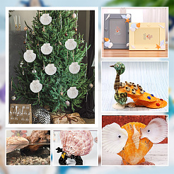 Décorations d'affichage de coquille naturelle&nbsp;SSHEL-WH0001-39D