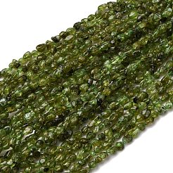 Natürlichen Peridot Perlen Stränge&nbsp;G-I389-A27