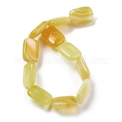 Natürliche gelbe Achat Perlen Stränge&nbsp;G-K392-B01-13x18mm