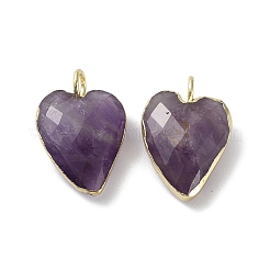 Natürlichen Amethyst Edelsteinanhänger&nbsp;G-G012-11G-08