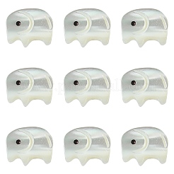 10 pezzo di conchiglia trochid naturale / perline di conchiglia trochus&nbsp;SSHEL-CJ0001-16