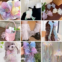 Ruban d'organza polyester&nbsp;SRIB-FZC0001-001E