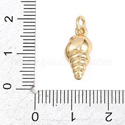 Messing Anhänger & Charms&nbsp;KK-H273-06G