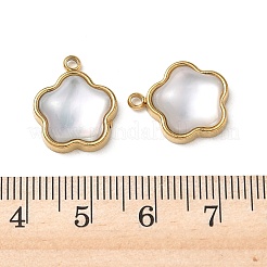 Pendentifs de coquillages d'eau douce naturelle&nbsp;STAS-G397-12G-01