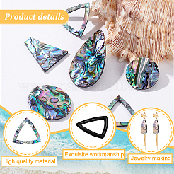 10 Stück 5 Stile natürliche Paua-Muschel-Cabochons&nbsp;FIND-GA0004-93
