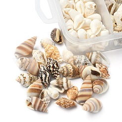 5 Arten gemischte natürliche Muschelperlen&nbsp;SSHEL-YW0001-03