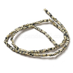 Dalmata naturale perline di diaspro fili&nbsp;G-B064-A11