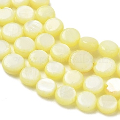 Colliers de perles en coquillage d'eau douce naturelle&nbsp;SH-CBACA76-17