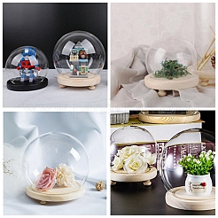 Glocke Globe Display Kuppel mit hohem Borosilikatglas&nbsp;ODIS-F007-01A