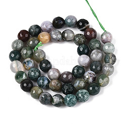 Natur Indien Achat Perlen Stränge&nbsp;G-T139-8mm-88E