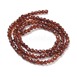 Chapelets de perles de grenat naturel&nbsp;G-H079-A01-03C-01