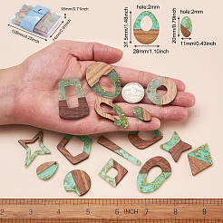 30pcs 15 estilos de resina transparente y colgantes de madera de nogal&nbsp;RESI-FW0001-02A