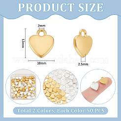 100 pz 2 colori ciondoli in lega in stile tibetano&nbsp;FIND-UN0015-54