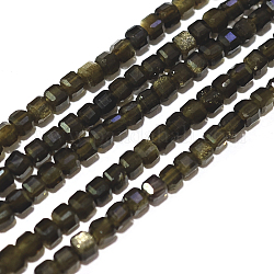Natural Golden Sheen Obsidian Beads Strands, Cube, Faceted, 2x2x2mm, Hole: 0.6mm, about 178pcs/strand, 15.55inch(39.5cm)