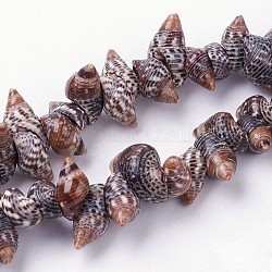 Chapelets de perles en coquille de spirale naturelle, conque, 5~10x12~17x6~10mm, Trou: 1mm, Environ 94 pcs/chapelet, 15.3 pouce (39 cm)