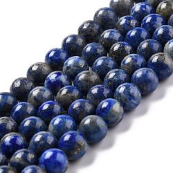 Naturales lapis lazuli de hebras de abalorios, redondo, 8mm, agujero: 1 mm, aproximamente 49 pcs / cadena, 15.5 pulgada (395 mm)