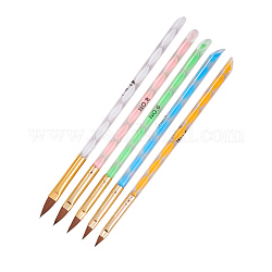 Set di penne per pennelli per nail art, con manico in acrilico, colore misto, 165~175x6.5mm, 5 pc / set