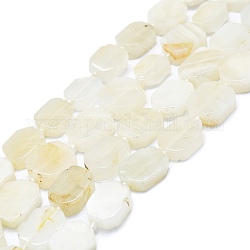 Natural White Moonstone Beads Strands, Rectangle, 13~15x10~12x4~6mm, Hole: 1mm, about 25pcs/strand, 16.34 inch(41.5cm)
