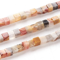 Natural Crazy Agate Beads Strands, Cube, 4x4x4mm, Hole: 0.7mm, about 93pcs/Strand, 15.75 inch(40cm)