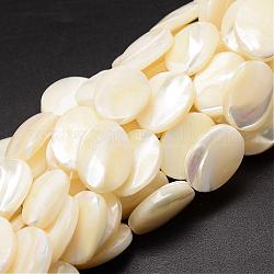 Chapelets de perles de coquille de trochid / trochus coquille, ovale, blanc crème, 20x15x4mm, Trou: 1mm, Environ 20 pcs/chapelet, 15.75 pouce
