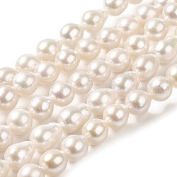 Hebras de perlas de agua dulce cultivadas naturales, grado 5 un, redondo, encaje antiguo, 7~8x7mm, agujero: 0.5 mm, aproximamente 51 pcs / cadena, 15.35'' (39 cm)