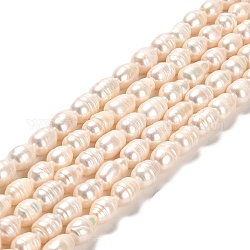 Fili di perle di perle d'acqua dolce coltivate naturali, riso, grado ab, lime, 8~10x6~7mm, Foro: 0.7 mm, circa 36~37pcs/filo, 12.99~13.19'' (33~33.5 cm)