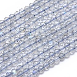 Natural Labradorite Beads Strands, Round, 3mm, Hole: 0.5mm, about 130pcs/Strand, 15.35 inch(39cm)