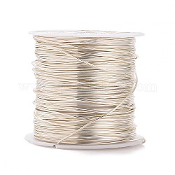 Round Copper Wire Copper Beading Wire for Jewelry Making, Long-Lasting Plated, Silver Color Plated, 21 Gauge, 0.7mm, about 42.65 Feet(13m)/roll