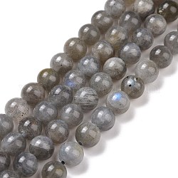 Chapelets de perles en labradorite naturelle, ronde, 6mm, Trou: 1mm, Environ 62 pcs/chapelet, 15.5 pouce