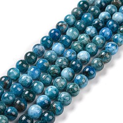 Chapelets de perles en apatite naturelle, grade AB, ronde, 8mm, Trou: 1mm, Environ 25~26 pcs/chapelet, 7.68 pouce