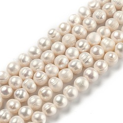 Fili di perle di perle d'acqua dolce coltivate naturali, patata, bisque, 8~12mm, Foro: 0.7 mm, circa 39pcs/filo, 14.45 pollice (36.7 cm)