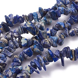 Natural Lapis Lazuli Beads Strands, Chip, 4~10x3~6mm, Hole: 0.5mm, 34.2 inch(87cm)