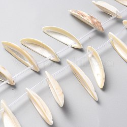 Eau douce naturelle de coquillage perles brins, expédier, blanc, 23~43.5x5~13x3.5~7mm, Trou: 1.2mm, Environ 24 pcs/chapelet, 15.75 pouce (40 cm)