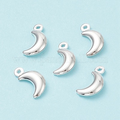 Ciondoli in acciaio inox 304&nbsp;STAS-I138-05S-1