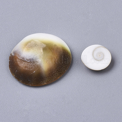 Natürlichen Shell Cabochons&nbsp;SSHEL-S258-93-1