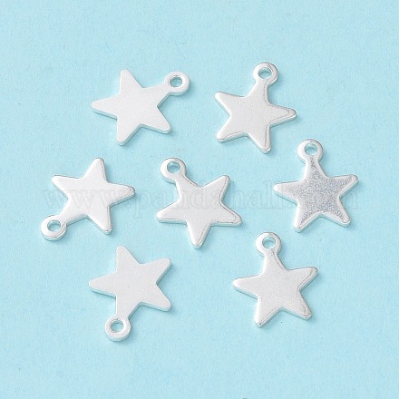 304 charms in acciaio inox STAS-L234-069S-1
