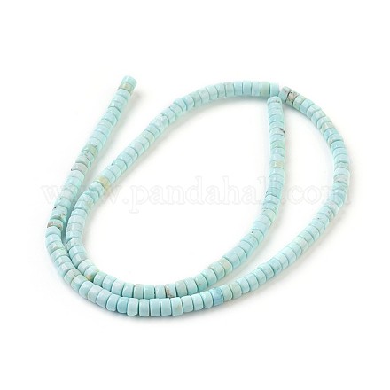 Natural Magnesite Beads Strands G-P398-F-1