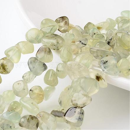 Pepitas de hebras de perlas naturales prehnite G-M341-39-1