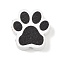 Printed Wood Beads, Paw Print, Black, 20x20x6mm, Hole: 2.5mm