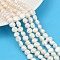 Natural Cultured Freshwater Pearl Beads Strands, Two Sides Polished, Grade 2A, Linen, 7~8mm, Hole: 0.7mm, about 47~49pcs/strand, 13.19''~13.58''(33.5~34.5cm)