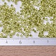 Perles miyuki delica petites SEED-JP0008-DBS0124-4